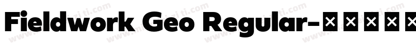 Fieldwork Geo Regular字体转换